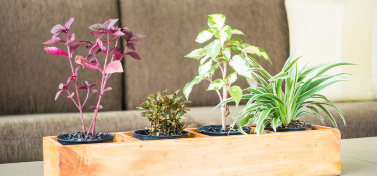 De perfecte maat: plantenbakken van 120 cm breed